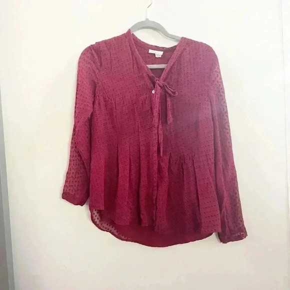 Anthropologie Tops - Anthropologie Swiss dot silk blouse